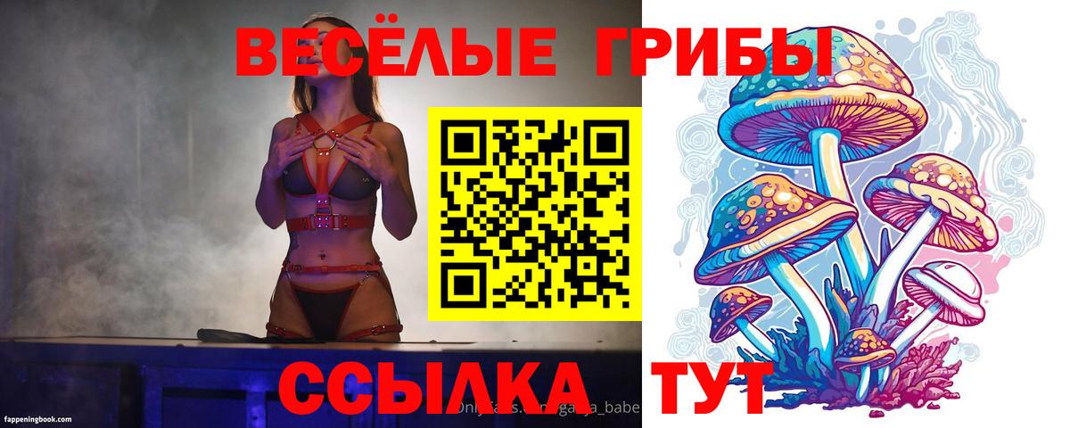 Псилоцибиновые грибы Magic Shrooms Тавда